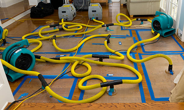 Professional Water Extraction technician working in Wentworth, MO
